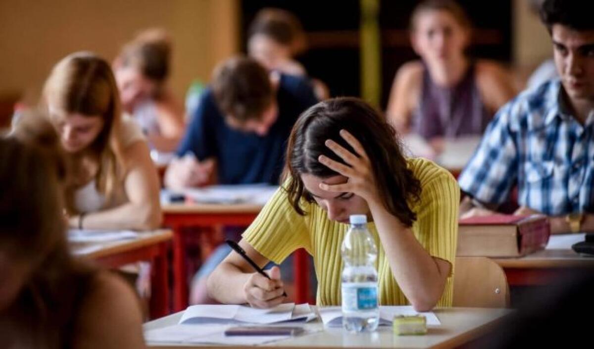 Cronache di una maturanda: Analisi delle prove e i consigli per il “ripassone finale” - 