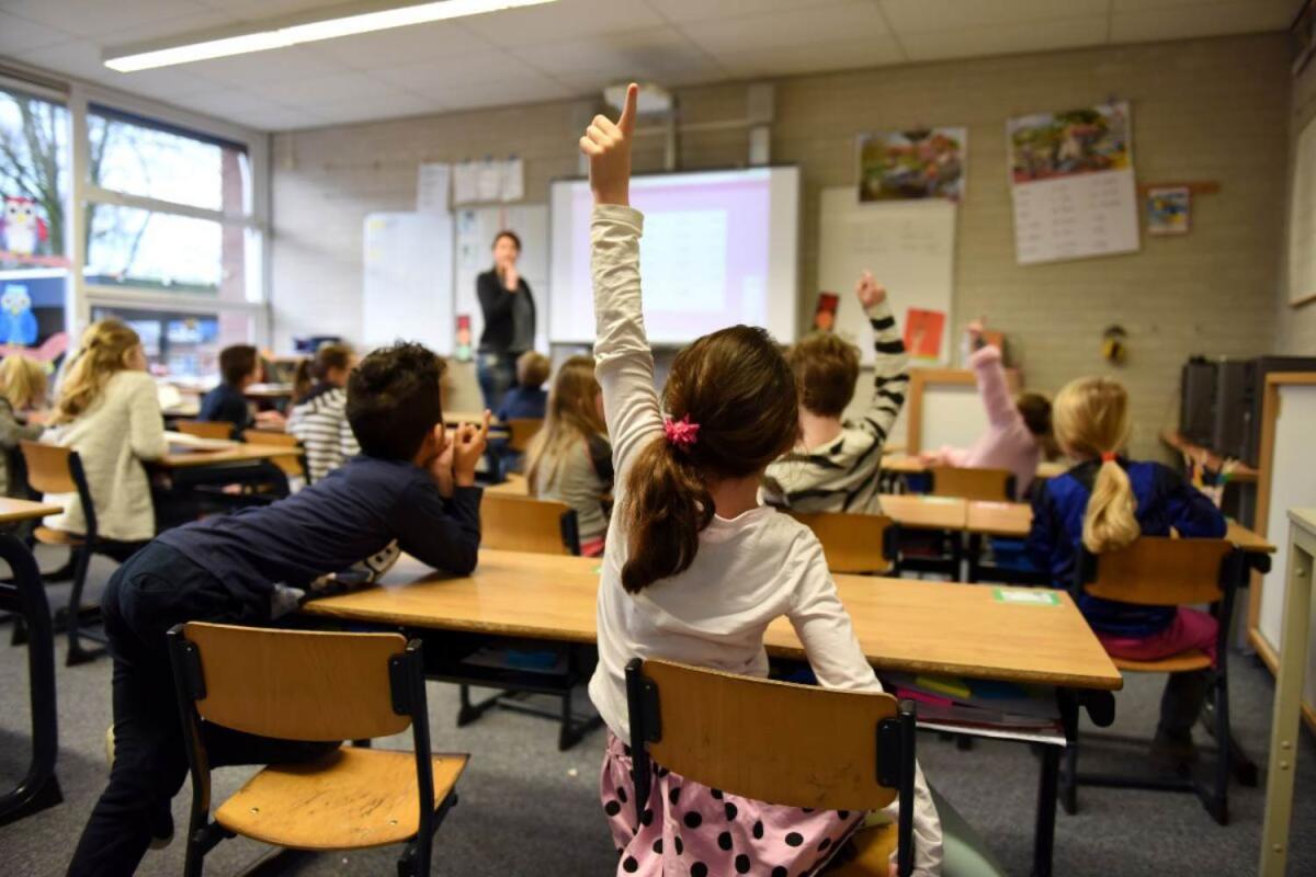 In dieci anni 1.000 istituti accorpati per creare scuole con maxi numero di alunni: secondo Anief i soldi del Pnrr andavano gestiti meglio, serviva più flessibilità, organico aggiuntivo e assunzioni su tutti i posti vacanti -