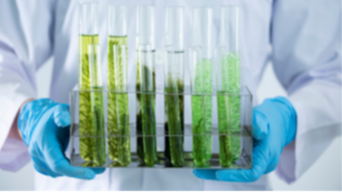 Al via la collaborazione tra CONOE e il corso di studi in biotecnologie industriali del dipartimento di biotecnologie e bioscienze dell’università di Milano-Bicocca - 