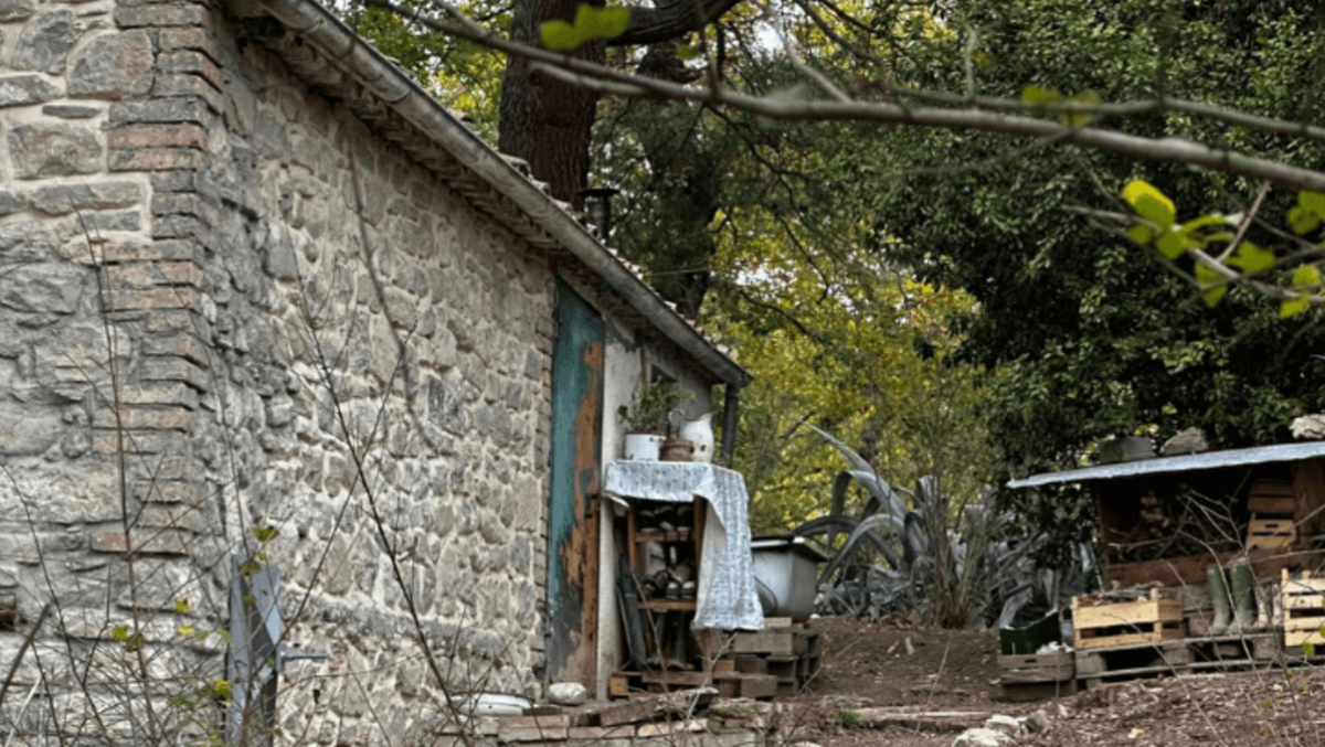 I bambini nella casa del bosco. Troppe emozioni e sentimenti in giro  - 