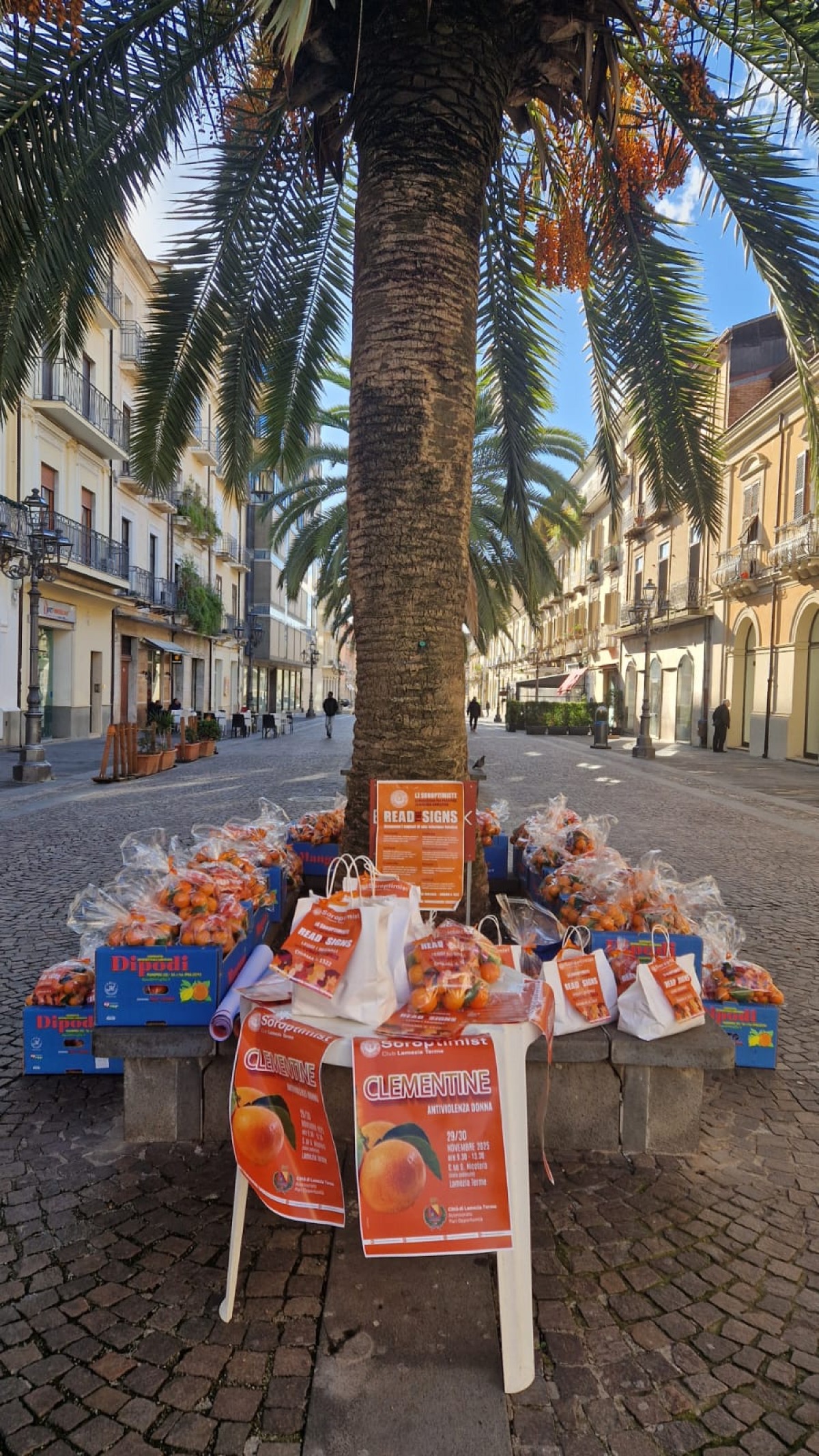 "Clementine antiviolenza", i fondi raccolti a sostegno delle donne vittime di violenza - 