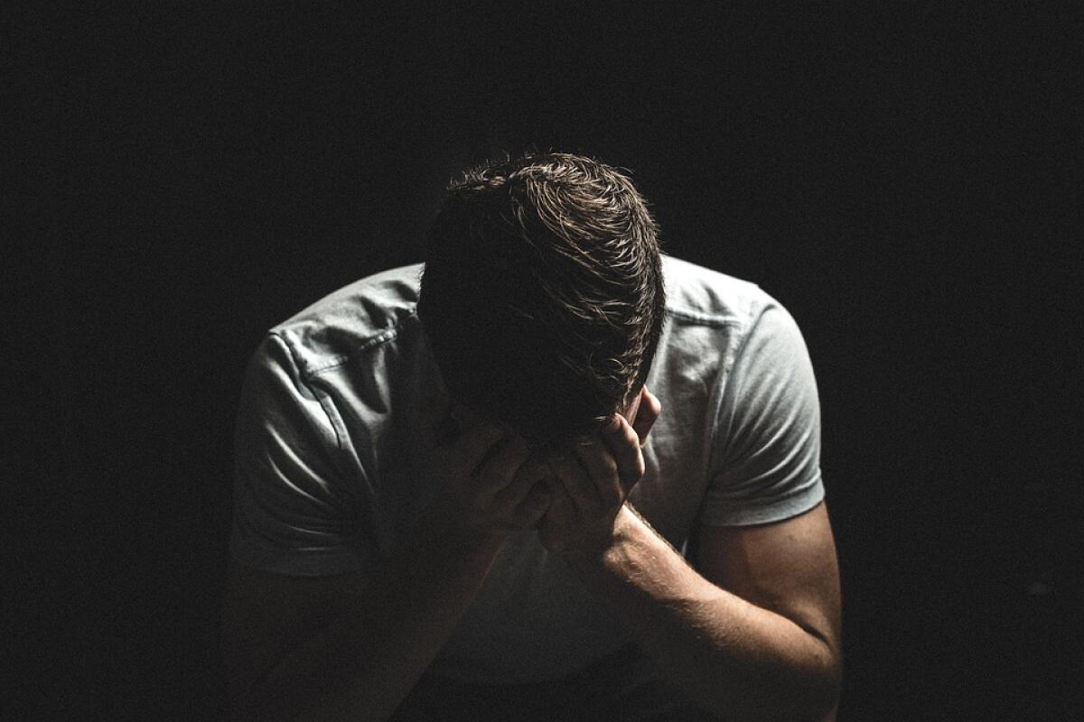 Violenza giovanile e fragilità adolescenziali: rilanciato il ruolo educativo della scuola e dell’educazione emotiva - 