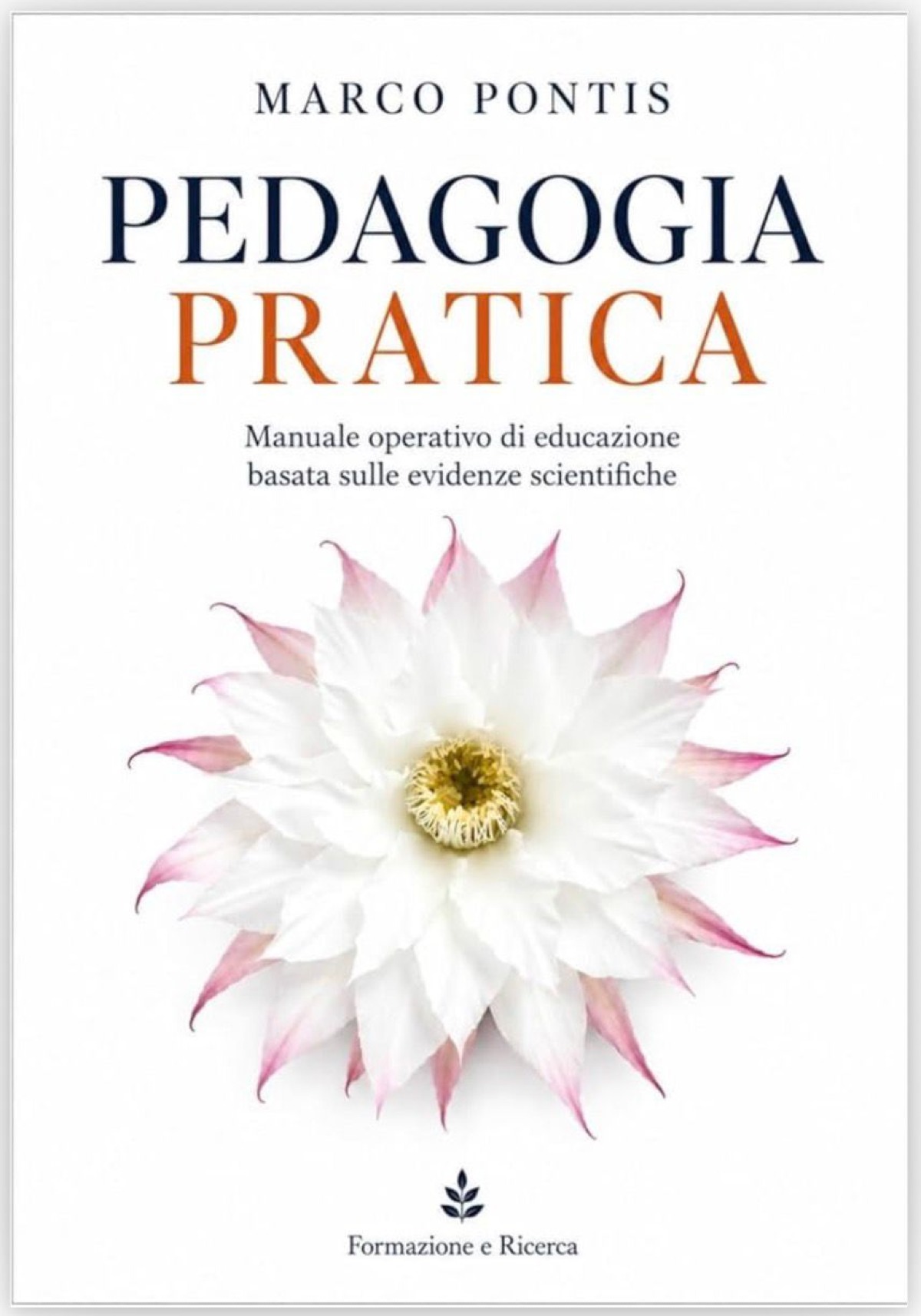 Intervista a Marco Pontis - 