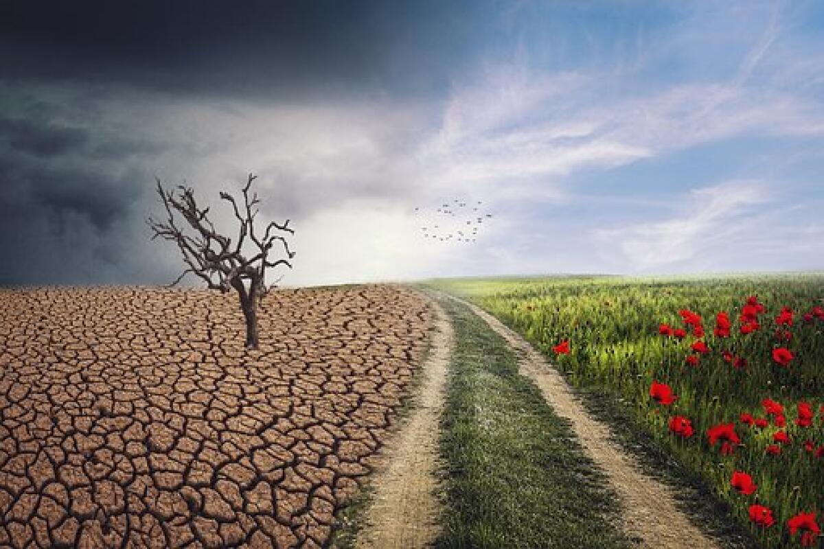 Cambiamento climatico e scuola - 