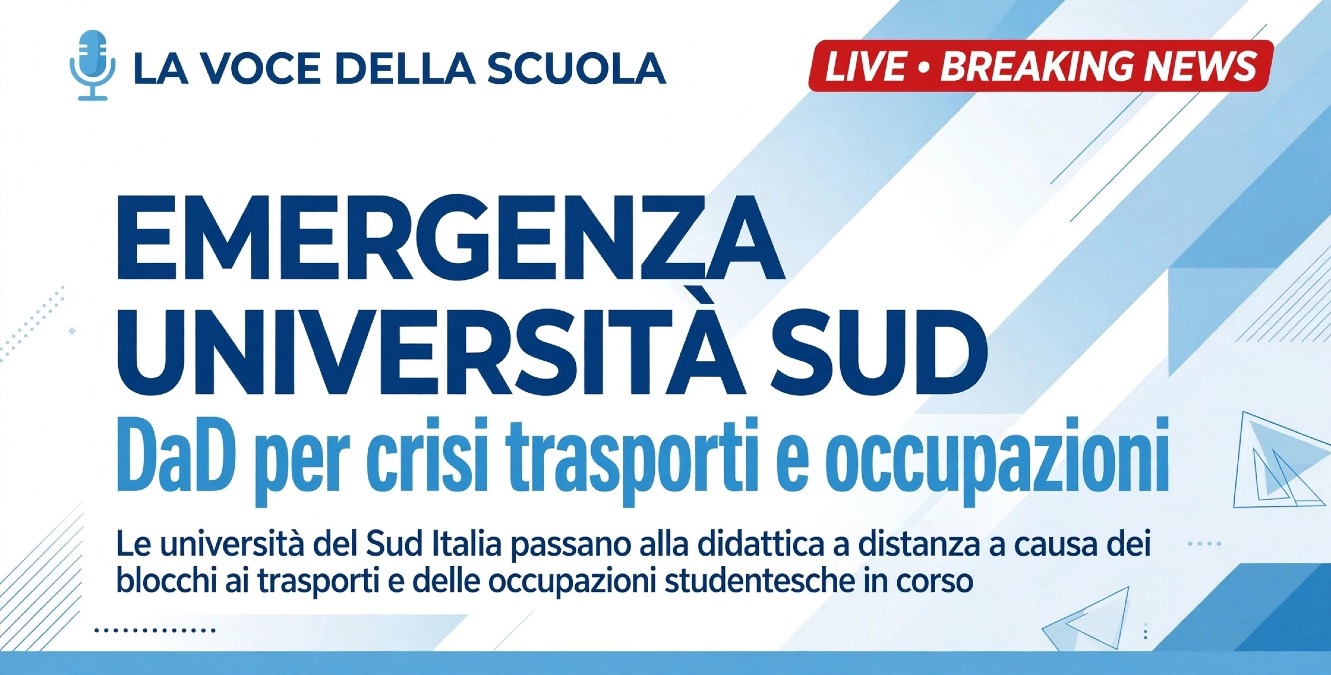 Università del Sud in DaD: cosa sta succedendo da Napoli a Catania - 